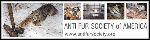 Support LCA - Justice for Animals!